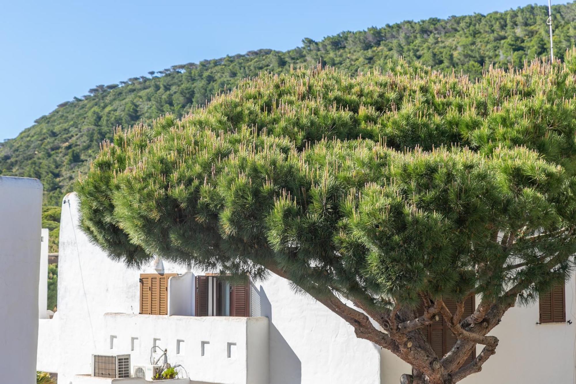 Adosado Nuevo Con Piscina, Playa, Garaje Y Jardin ロス・カーニョス・デ・メカ エクステリア 写真